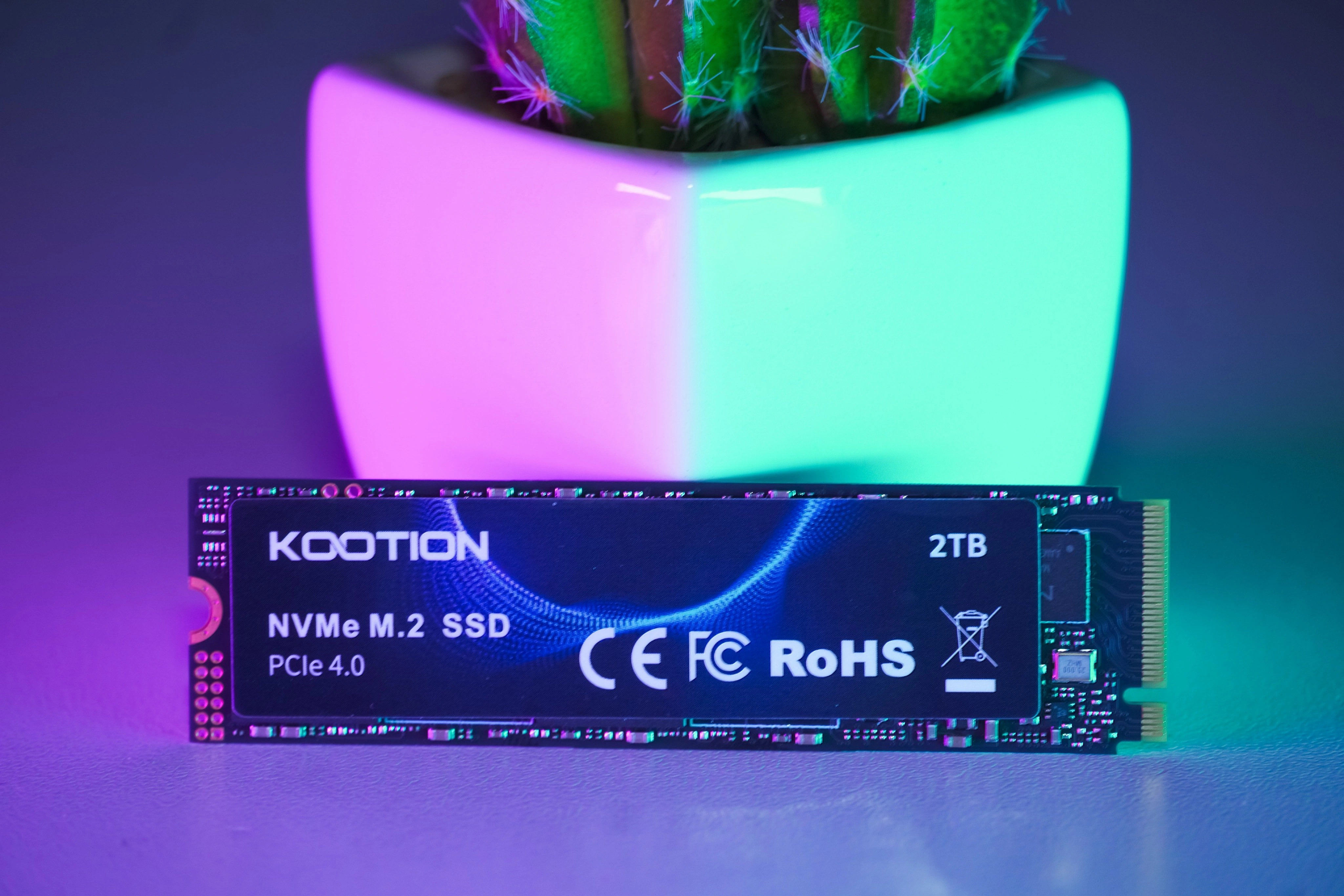 وحدة KOOTION X16Plus 2TB من تصوير المراجع.